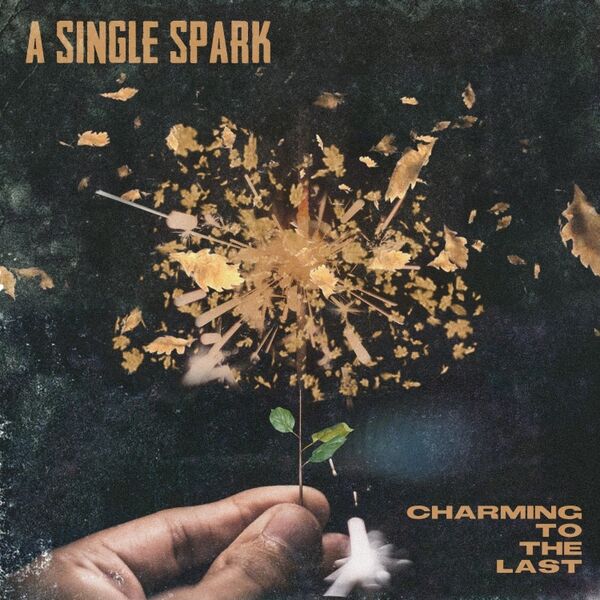 Cover art for A Single Spark